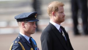 Mark Dyer è l'amico in comune con William che potrebbe far cambiare il futuro del principe Harry