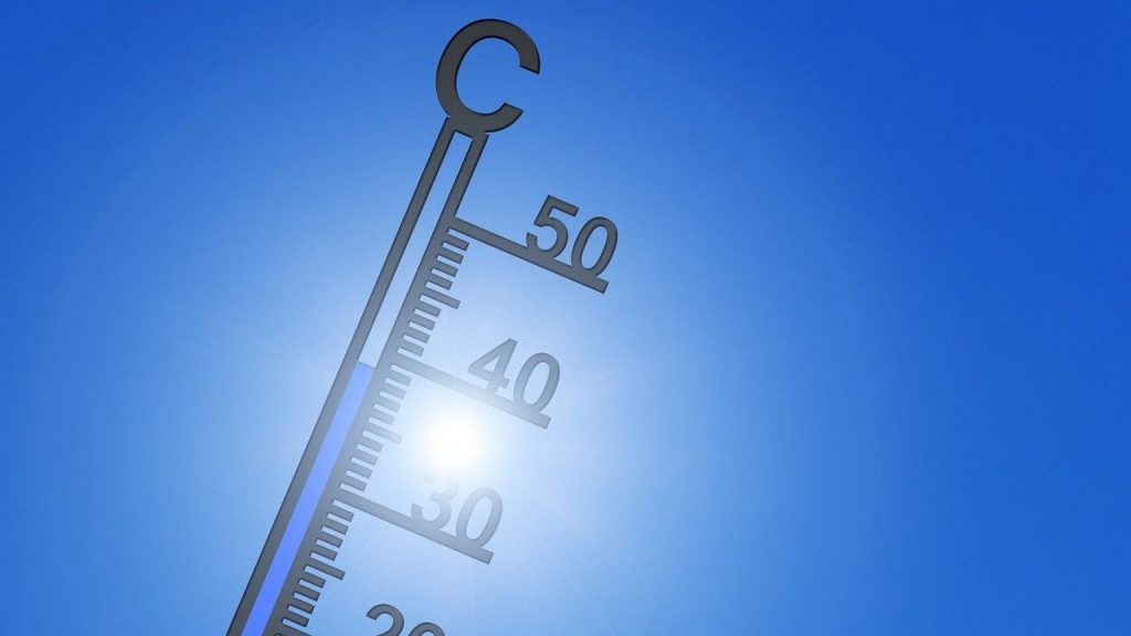 Clima, il 2024 è stato l’anno più caldo che si sia mai visto: il rapporto del Servizio per il Cambiamento Climatico di Copernicus