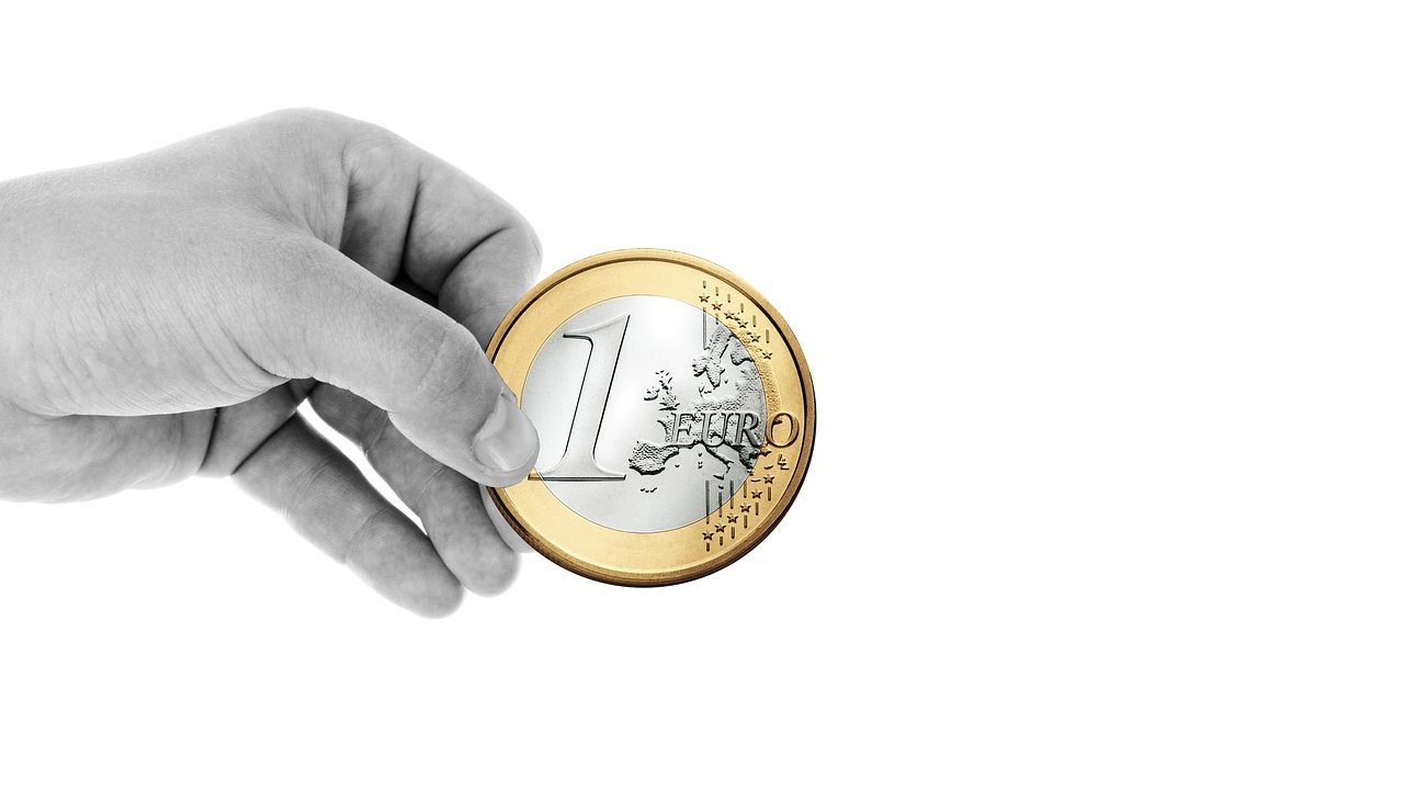 Un euro in mano